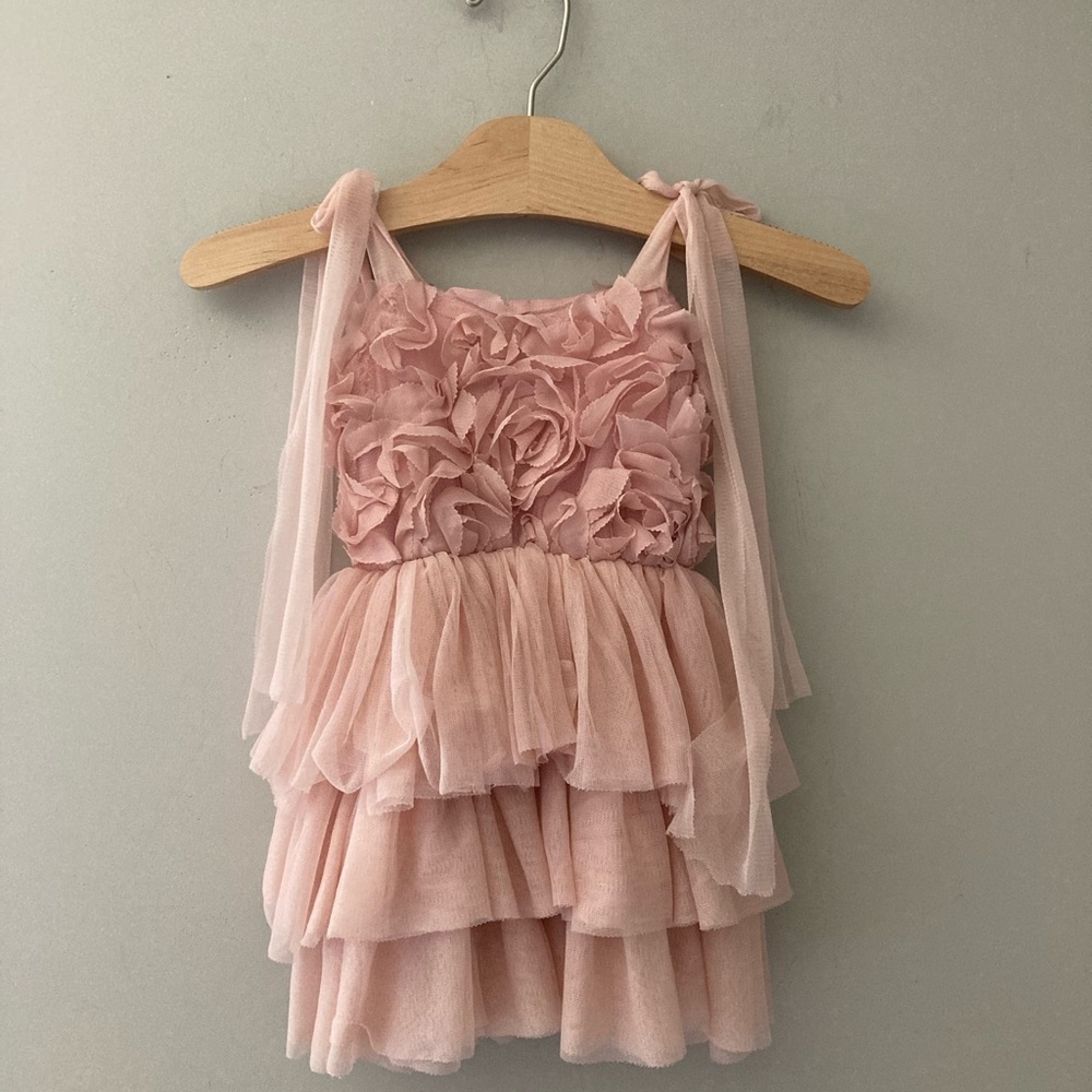 $20 ADD ON sweet charlotte pink tulle (brand tagged as zara bc SC not an option) - Picture 2 of 3